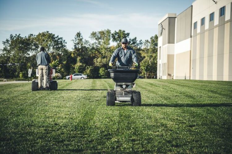 Efficiencies-of-Multi-Purpose-Solutions